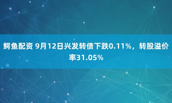 鳄鱼配资 9月12日兴发转债下跌0.11%，转股溢价率31.05%